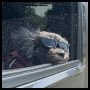 Meet your Posher, Kristen